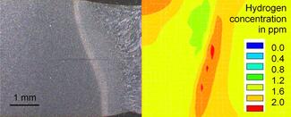 Lichtmikroskopische Aufnahme eines Laserschweißnahtgefüges (links) im Vergleich mit der berechneten lokalen diffusiblen Wasserstoffkonzentration in Abhängigkeit von Temperatur-Zeit-Verlauf und Schweißeigenspannungen (rechts).